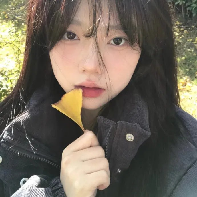 摇曳百合第二季